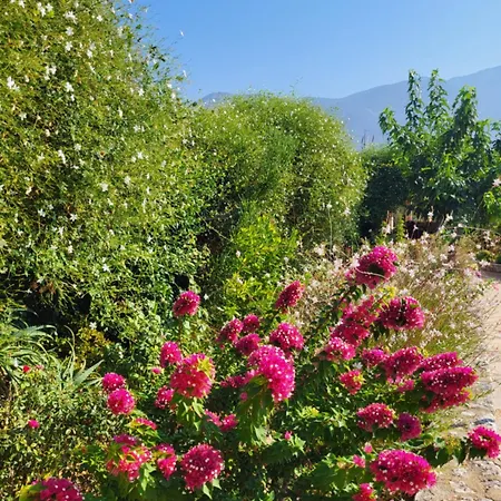 Apartamento Korallis *