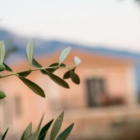 Korallis Apartamento *