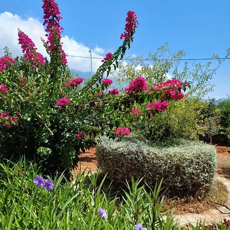 Korallis Villas * Karavados