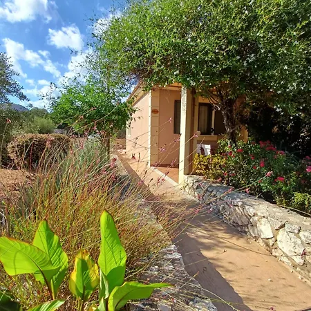 Korallis Villas Apartment Karavados