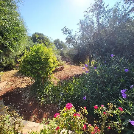 Korallis Villas * Karavados