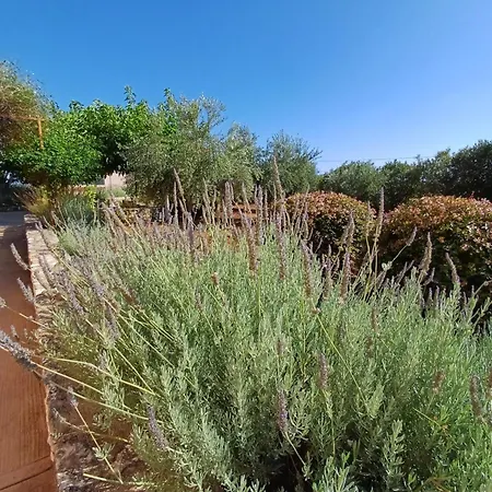 Korallis Villas * Karavados